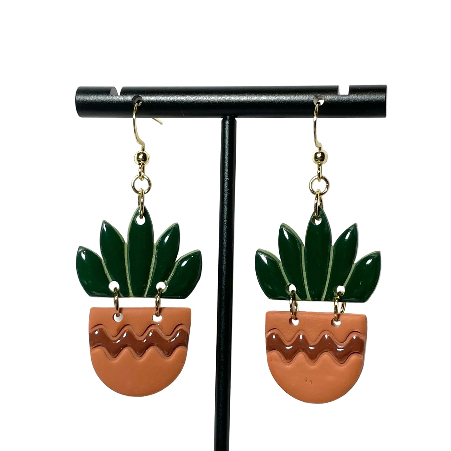 Snake Plant - Hooks