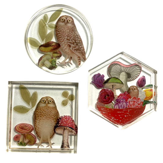 Whooo are you? - Set of 3 Coasters