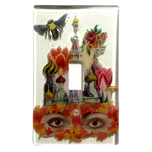 Fantastical Single Light Switch Cover